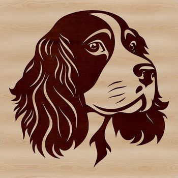 A friendly-looking dog breed with a long, floppy ears and a sweet expression.