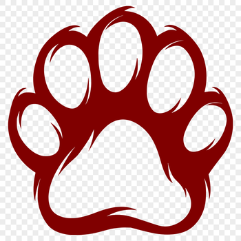 A collection of paw prints in various sizes and shapes.