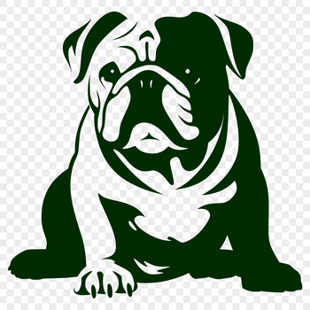 A sitting bulldog depicted in full body profile.