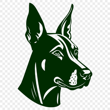 A high-quality illustration of a Doberman Pinscher's head, suitable for vector art projects.