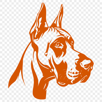 A detailed illustration of a large dog breed, specifically a Great Dane, suitable for vector art design.