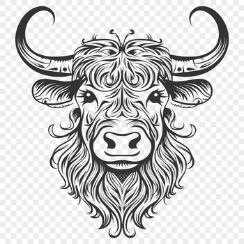 Highland cow head illustration with distinctive horns and fur texture.