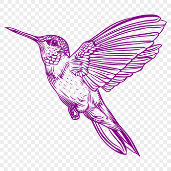 Close-up view of a hummingbird's full body, highlighting its distinctive plumage and wing patterns as it hovers in the air.