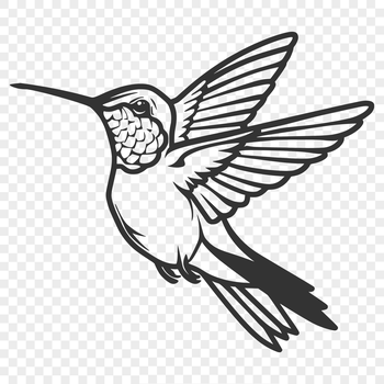 A detailed illustration of a hummingbird in mid-flight, showcasing its plumage and features.