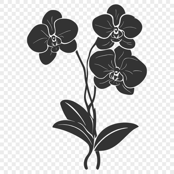 Orchid flower illustration in vector format for use with cutting machines or digital design software.