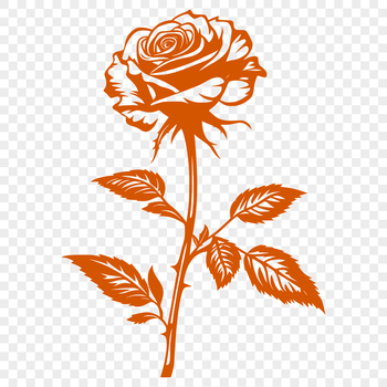 A detailed illustration of a rose, suitable for gardening and tattoo design projects.
