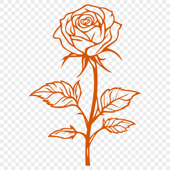 A detailed illustration of a rose plant with realistic flower petals and foliage.