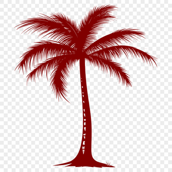 Illustration of a single palm tree against a white background, suitable for various design projects.