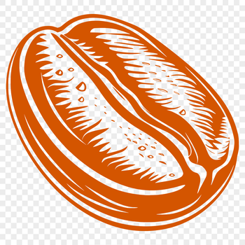 Illustration of a coffee bean with detailed texture, suitable for vector art projects.
