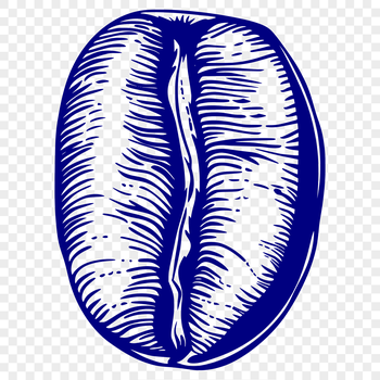 A detailed illustration of a single coffee bean in a vector format.