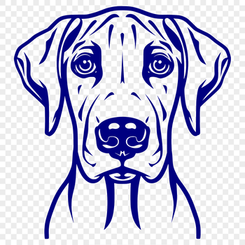 A detailed illustration of the head of a Great Dane dog breed.