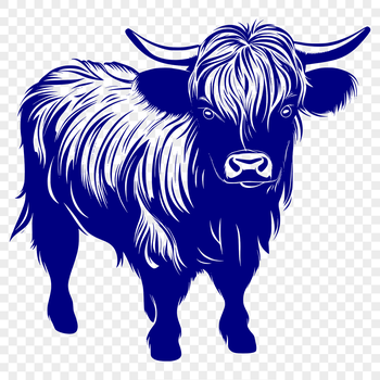 A Highland cow standing on a green hillside, its distinctive shaggy coat and curved horns visible.
