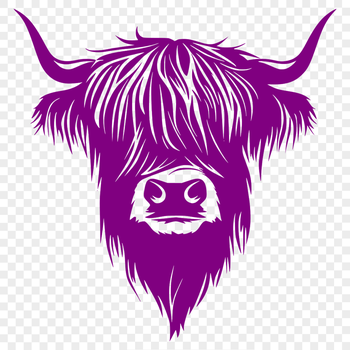 A close-up illustration of a Highland cow's head, featuring distinctive horns and facial features.