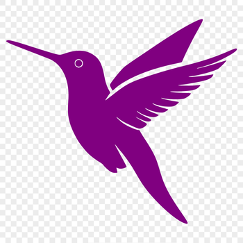 A colorful illustration of a hummingbird in full body, depicted as if flying through the air.