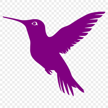 A detailed illustration of a hummingbird in flight, showcasing its full body and intricate features.