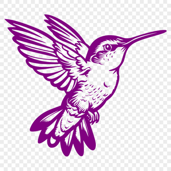 Beautiful Hummingbird - For Laser Cutter Project