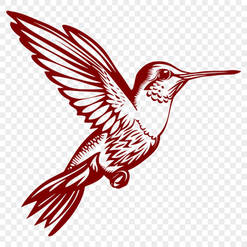 A colorful hummingbird in mid-flight, with its wings spread wide.