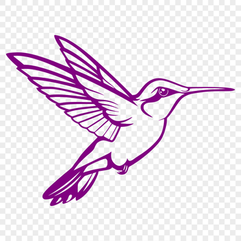 A detailed illustration of a hummingbird in mid-flight, showcasing its full body and wing movement.