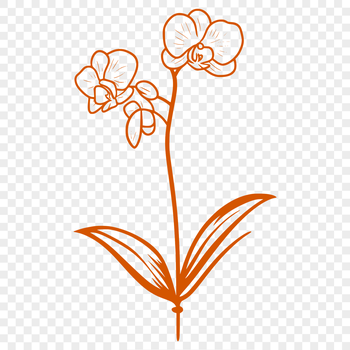 A detailed illustration of a white orchid flower with delicate petals and center, created as vector art for graphic design.