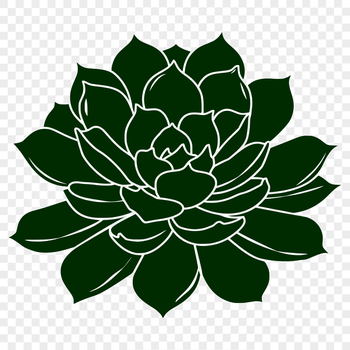 A stylized illustration of a desert plant with fleshy leaves and stems.