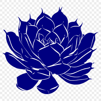 A vector illustration of a succulent plant with thick fleshy leaves.