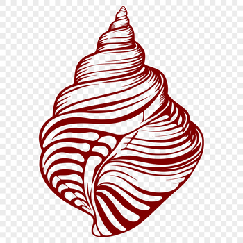 A digital illustration of a seashell with intricate details, suitable for vector design projects.