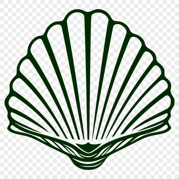 A detailed illustration of a seashell, ideal for vector art and cutting machine designs.