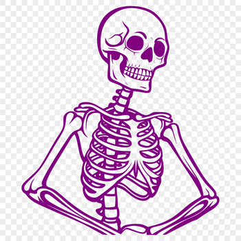 Illustration of a human skeleton with bony details.