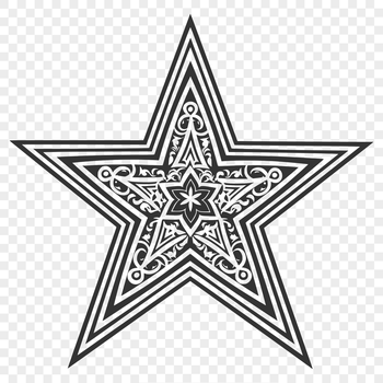 A stylized vector representation of a Christmas star.