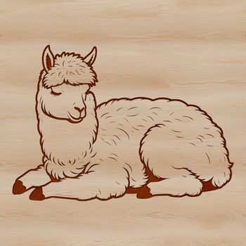 A single alpaca resting on its haunches in a neutral background.