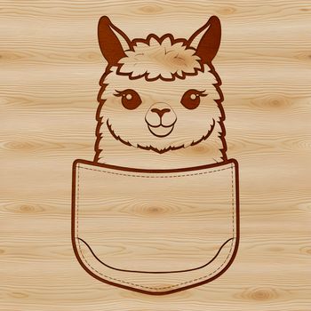 A small South American camelid animal with soft fur, standing in a landscape.