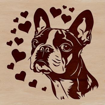 A cartoon Boston Terrier dog with heart accents on its head.