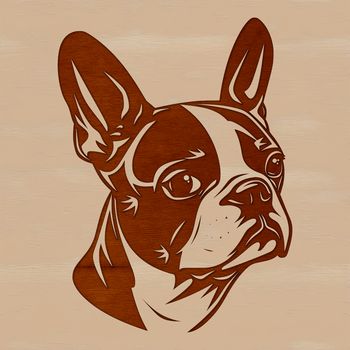 Vector illustration of a Boston Terrier's head, suitable for digital use.