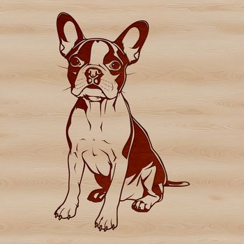Illustration of a seated Boston Terrier animal for personal or commercial use.