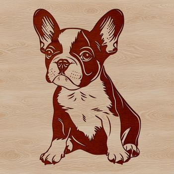 Vector illustration of a sitting Boston Terrier dog breed in a cute pose.