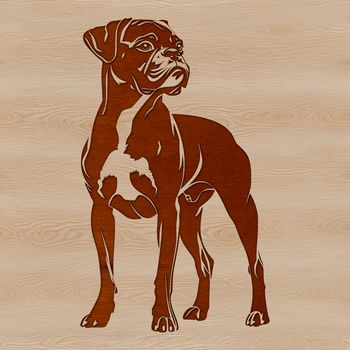 A standing Boxer dog with its distinctive facial features and smooth coat.