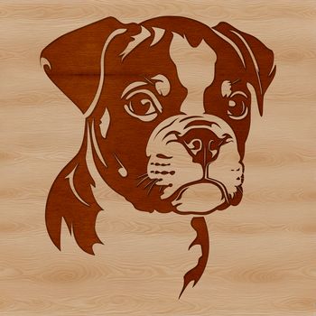 An illustration of a Boxer dog's head, created as a vector graphic.