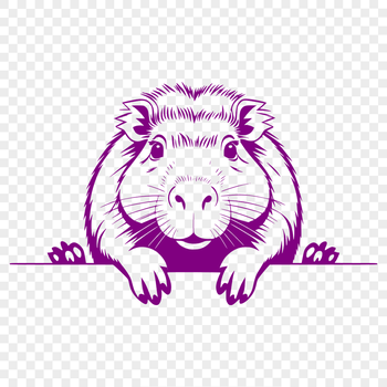 A close-up illustration of a capybara's face peeking out from behind some foliage.