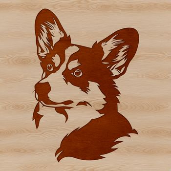 Corgi dog breed head illustration with detailed features suitable for vector art designs.