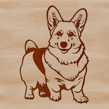 A portrait of a standing corgi, ideal for use as clip art in various designs.