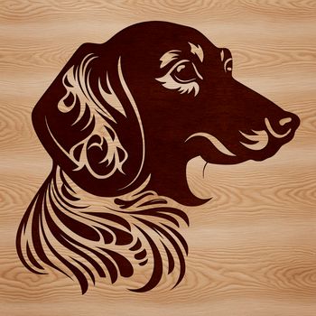 A digital illustration of a Dachshund's head.