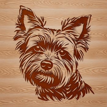A detailed illustration of a small dog breed known as the Yorkshire Terrier.