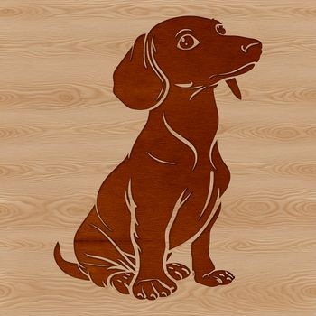 A seated Dachshund with a friendly expression.
