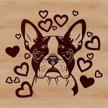 Close-up illustration of a friendly Boston Terrier's head with love hearts surrounding its features.