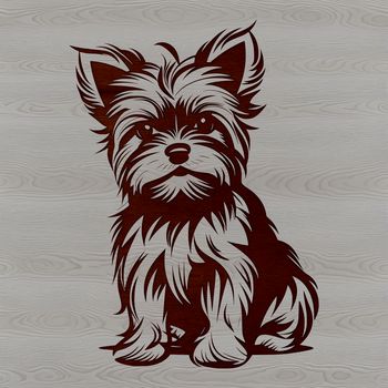 A small breed dog with a distinctive coat pattern, sitting on its hind legs.