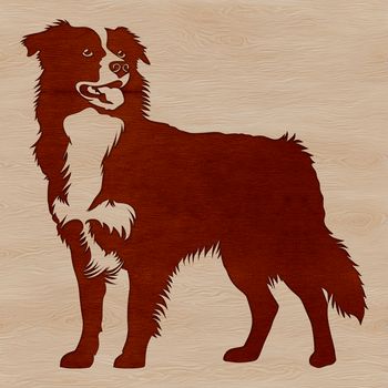 A standing Australian Shepherd dog breed with a rugged texture, suitable for vector graphics design.