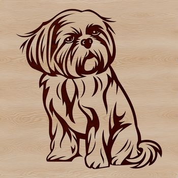 Close-up illustration of a sitting Shih Tzu dog breed with vector design style.
