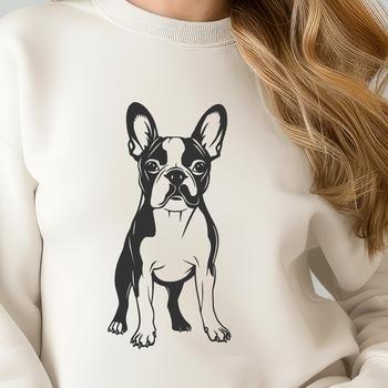 A digital clip art design of a Boston Terrier in a standalone pose.