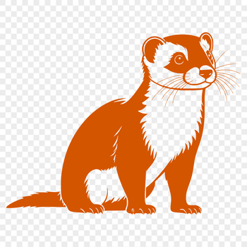A cartoon-style illustration of a ferret in simple outline form.