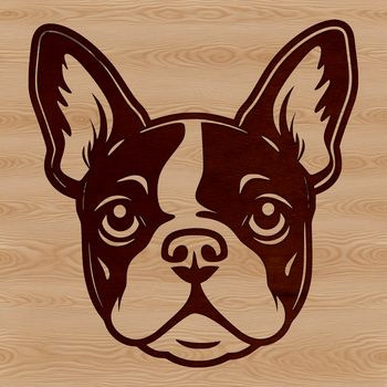 A profile view of a French Bulldog's head, with a flat face and adorable wrinkles.